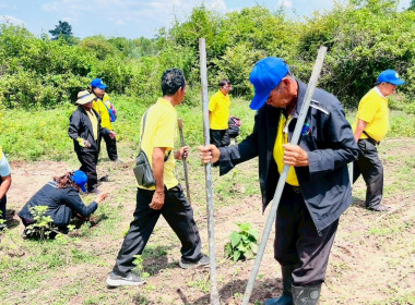 โครงการอาสาสมัครสหกรณ์ กิจกรรมพัฒนาอาสาสมัครสหกรณ์ ... พารามิเตอร์รูปภาพ 35